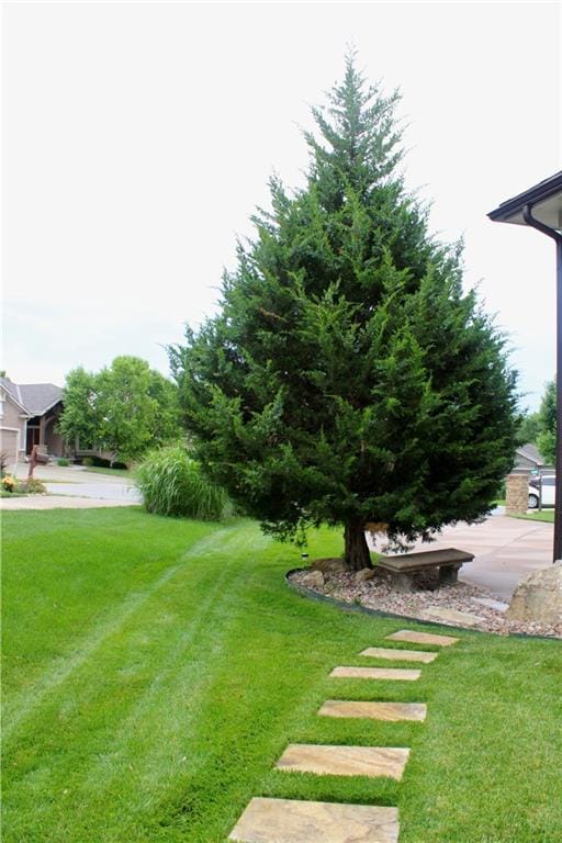 6822 Woodstock Ct, Shawnee, KS 66218 - view of green lawn