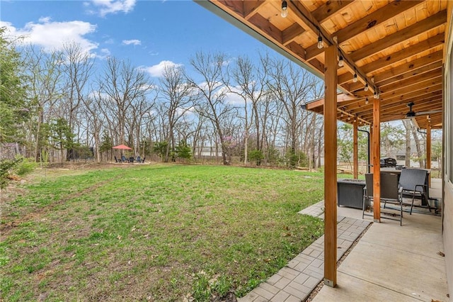 4866 Dabinawa Dr, Mclouth, KS 66054 - view of yard featuring a patio