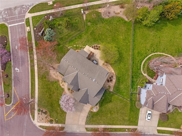 drone / aerial view