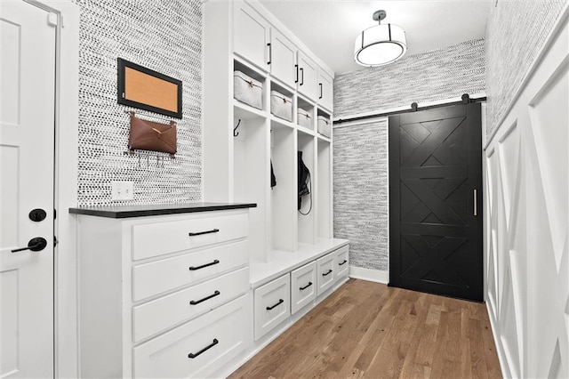 18050 N Peach Blossom Dr, Platte City, MO 64079 - mudroom with wood finished floors and a barn door