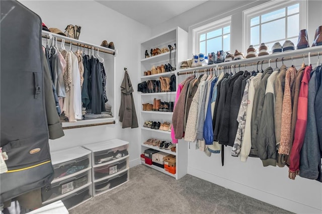 walk in closet featuring carpet