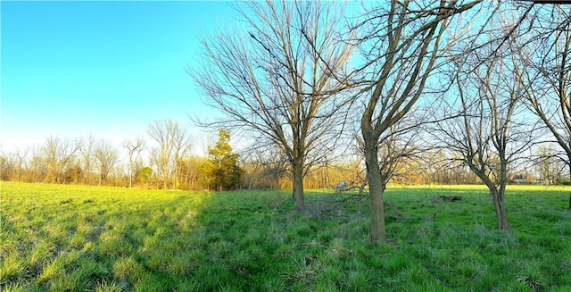 220 W John St, Milo, MO 64767 - view of yard