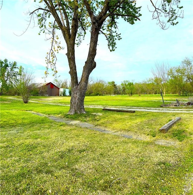 220 W John St, Milo, MO 64767 - view of yard