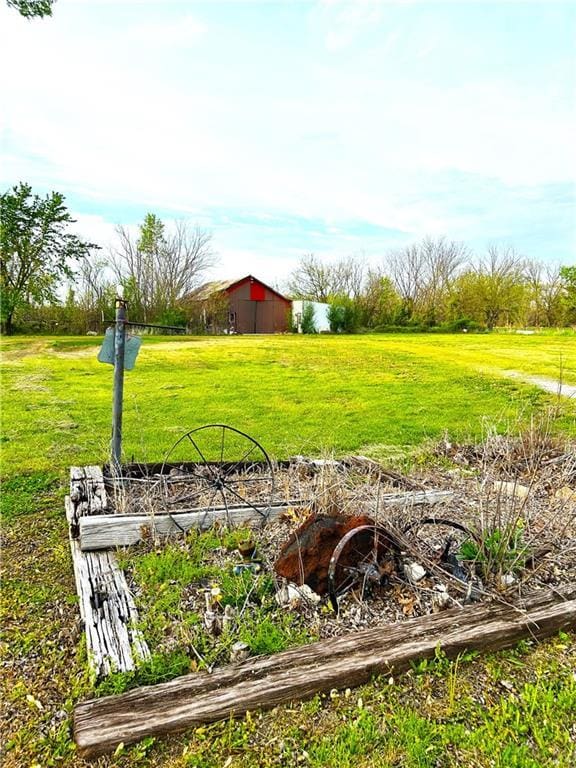 220 W John St, Milo, MO 64767 - view of yard with a vegetable garden