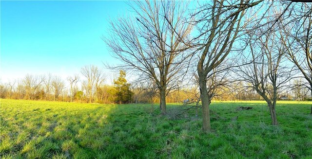 220 W John St, Milo, MO 64767 - photo 18