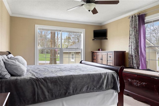 508 S 7th St, Louisburg, KS 66053 - bedroom featuring ornamental molding, ceiling fan, and a textured ceiling