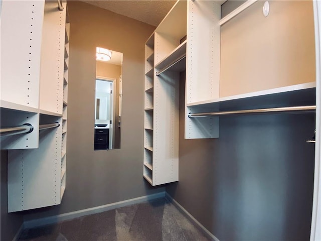 spacious closet with carpet floors