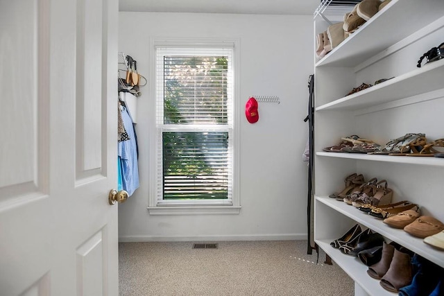 walk in closet featuring carpet floors