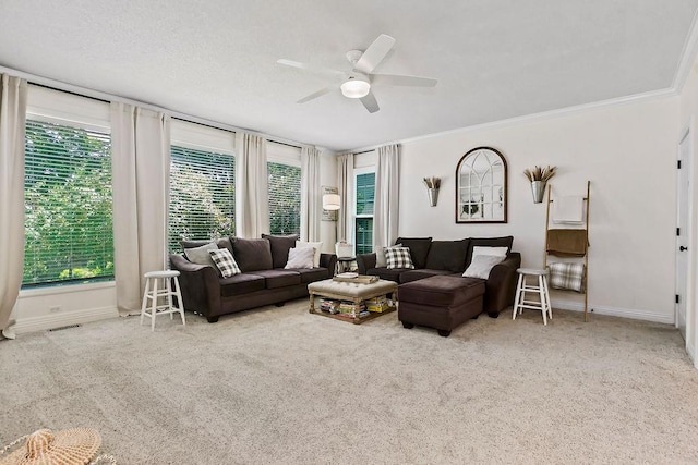 14327 King St, Overland Park, KS 66221 - living area with carpet floors, a ceiling fan, ornamental molding, and baseboards