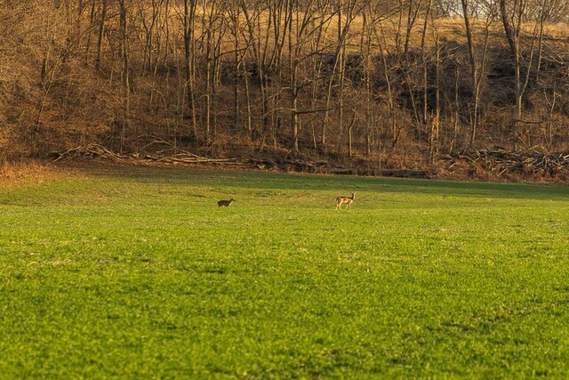 TBD 188th St, Holt, MO 64048