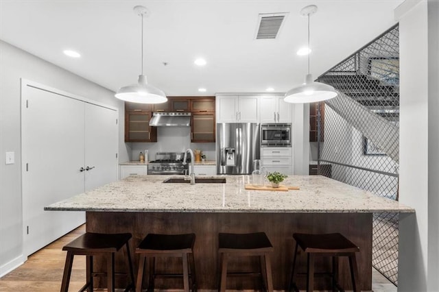 kitchen featuring visible vents, light wood-type flooring, a sink, ventilation hood, and stainless steel appliances