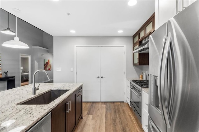 kitchen with dark brown cabinetry, a sink, light wood finished floors, stainless steel appliances, and under cabinet range hood
