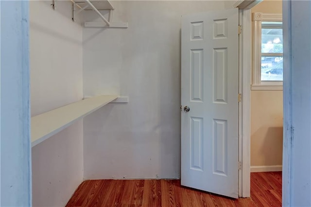 spacious closet featuring wood finished floors
