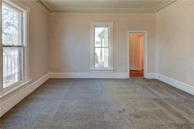 unfurnished room with baseboards, ornamental molding, and carpet