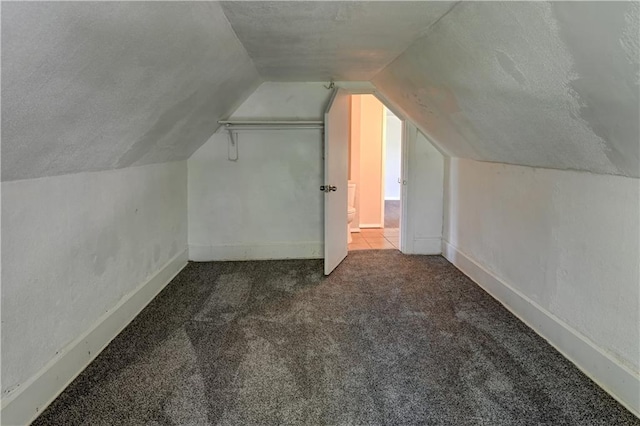 additional living space with baseboards, carpet flooring, a textured ceiling, and lofted ceiling