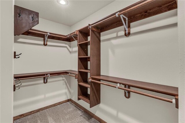 walk in closet with carpet flooring