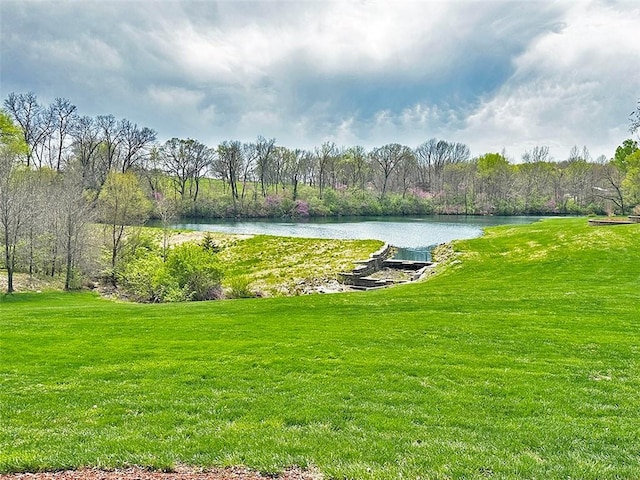 8225 NE 124th St, Kansas City, MO 64167 - view of property's community featuring a lawn and a water view