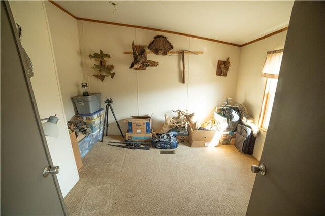 5783 Union Rd, Mclouth, KS 66054 - carpeted bedroom with ornamental molding