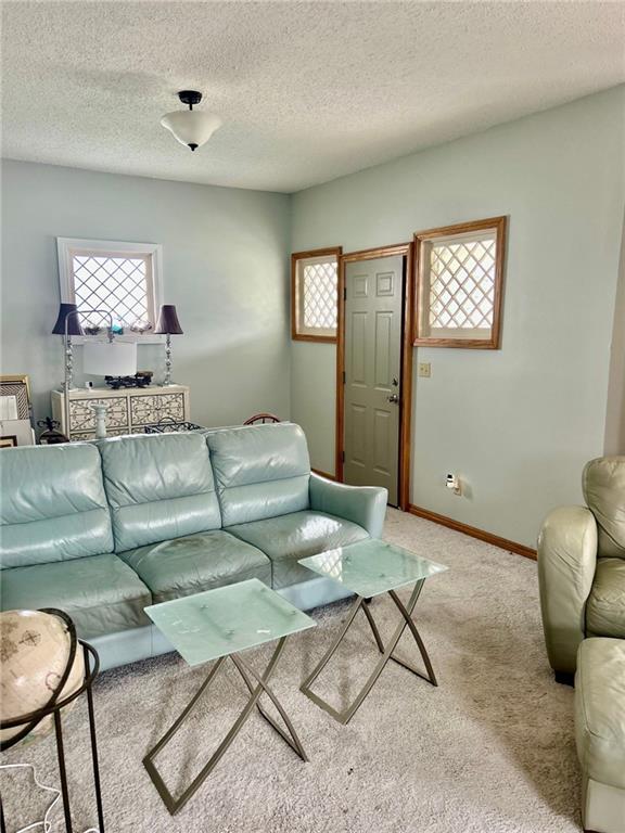 living room featuring carpet flooring, a textured ceiling, and baseboards