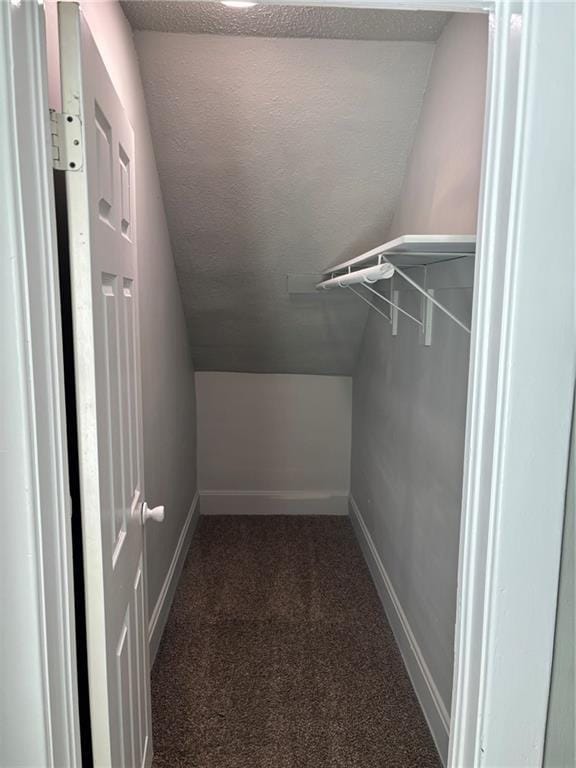 walk in closet featuring carpet and vaulted ceiling