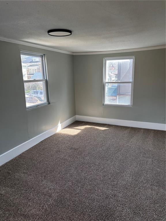 carpeted spare room with baseboards, crown molding, and a textured ceiling