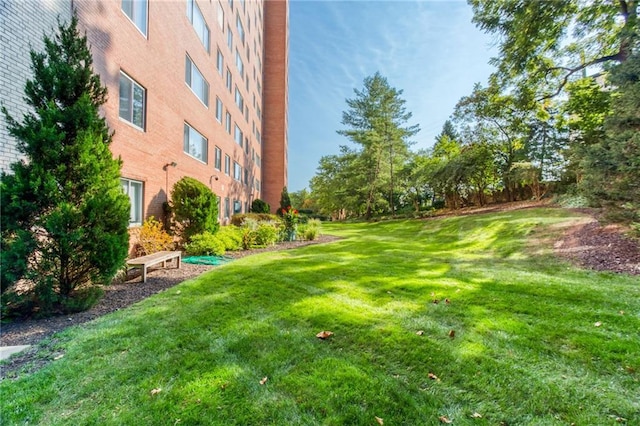 view of green lawn