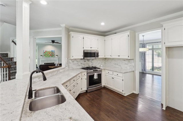 5329 Park St, Shawnee, KS 66216 - kitchen with stainless steel appliances, a sink, light stone counters, a ceiling fan, and crown molding