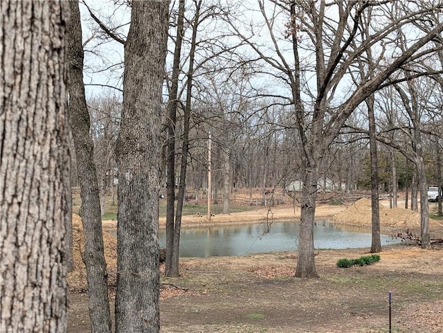 view of water feature