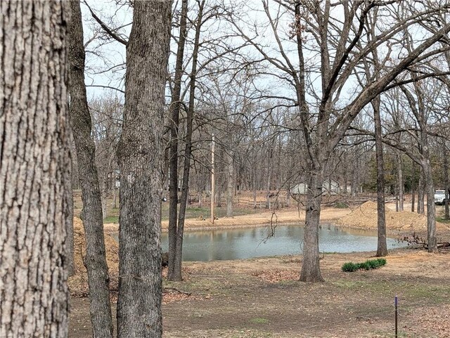 1804 S Phillips St, El Dorado Springs, MO 64744 - view of water feature