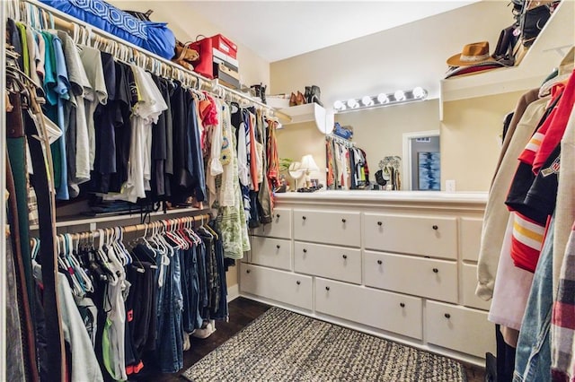 view of walk in closet