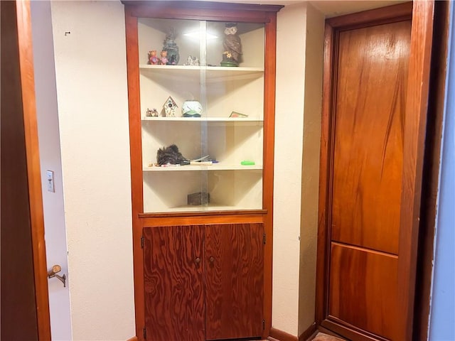 1124 Pacific Ave, Osawatomie, KS 66064 - detailed view of built in shelves