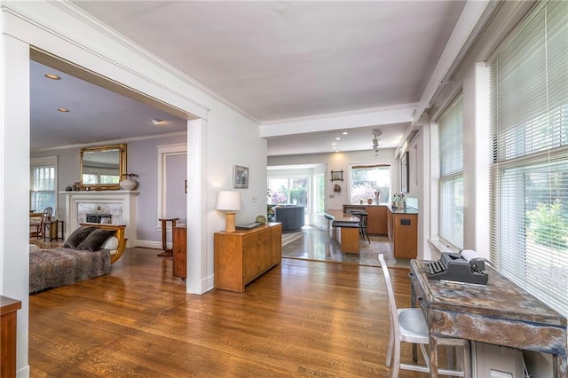 living room featuring crown molding, baseboards, wood finished floors, and a fireplace