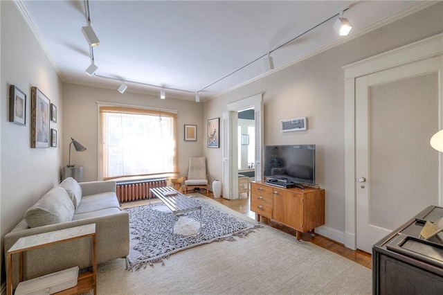 living room featuring wood finished floors, rail lighting, radiator heating unit, and ornamental molding