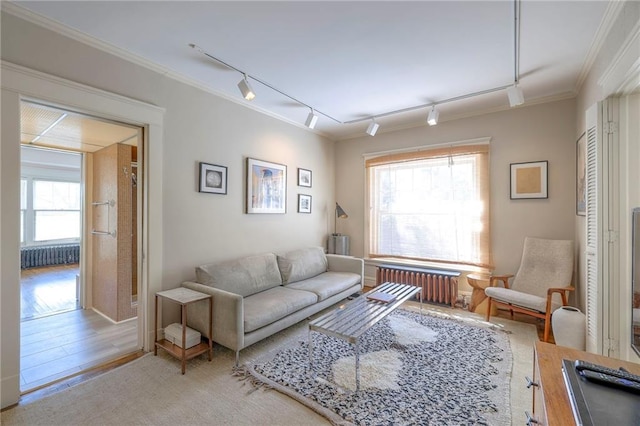 living room featuring crown molding, rail lighting, and radiator