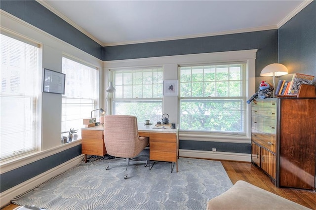 office space with baseboards, crown molding, and wood finished floors