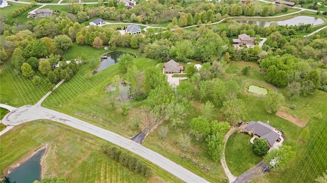 17014 NE 119th St, Kearney, MO 64060 - aerial view of property's location with a nearby body of water