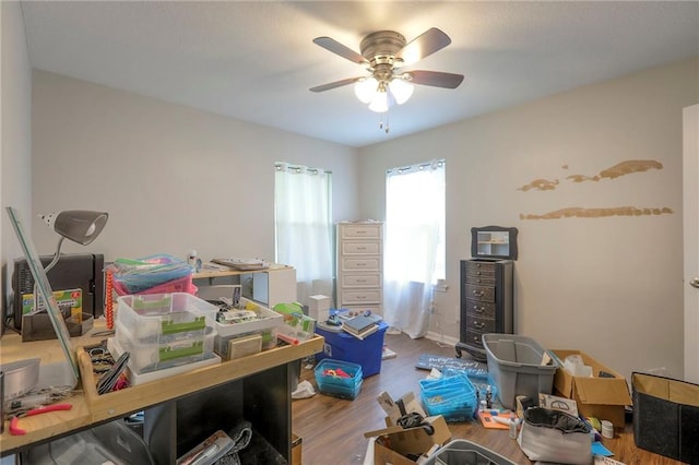 interior space with ceiling fan and wood finished floors