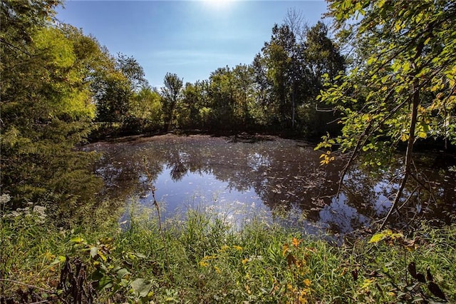 6301 SW Ana Dr, Kingston, MO 64650 - photo 37