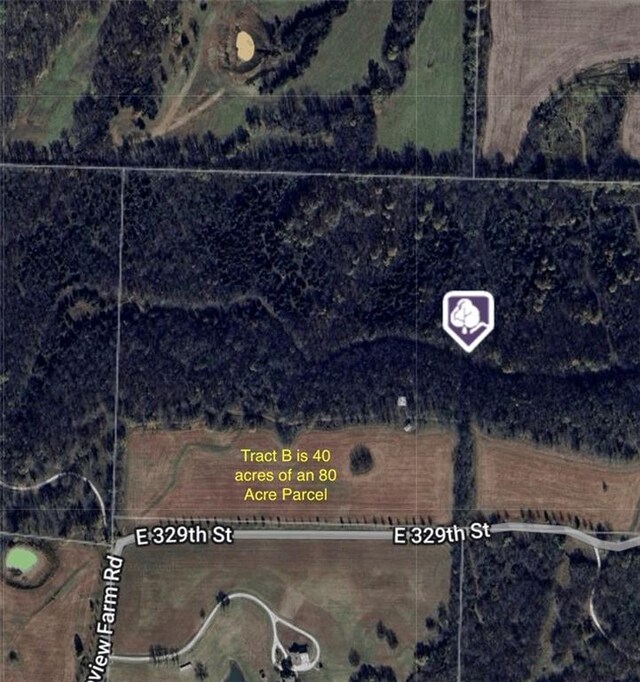 10500 E 329th St, Drexel, MO 64742 - photo 20