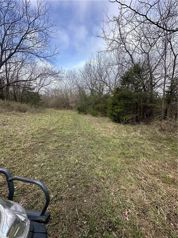 10500 E 329th St, Drexel, MO 64742 - photo 21