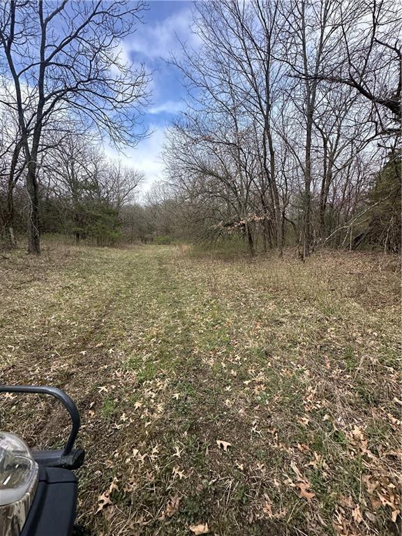 10500 E 329th St, Drexel, MO 64742 - photo 22