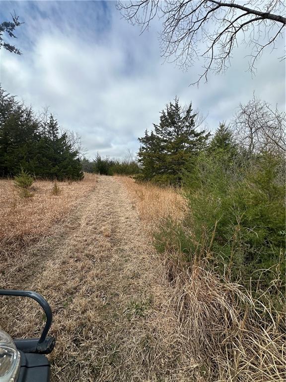 10500 E 329th St, Drexel, MO 64742 - photo 24