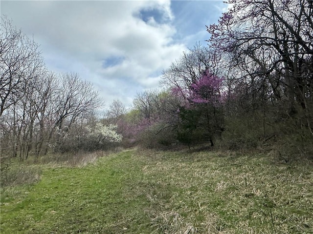 10500 E 329th St, Drexel, MO 64742 - photo 10