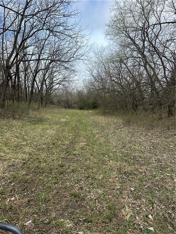 10500 E 329th St, Drexel, MO 64742 - photo 12