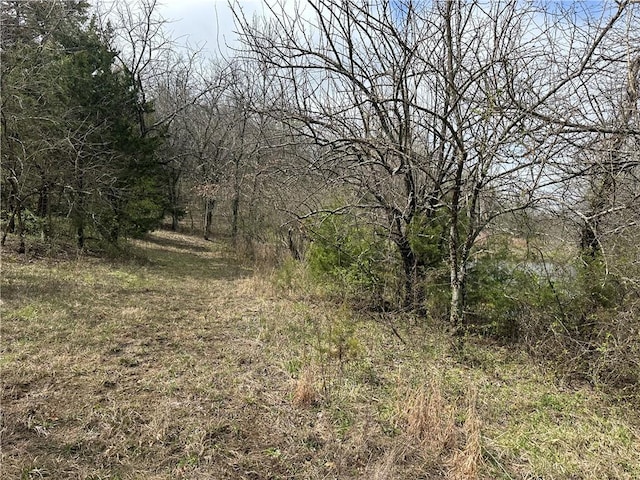 10500 E 329th St, Drexel, MO 64742 - photo 16