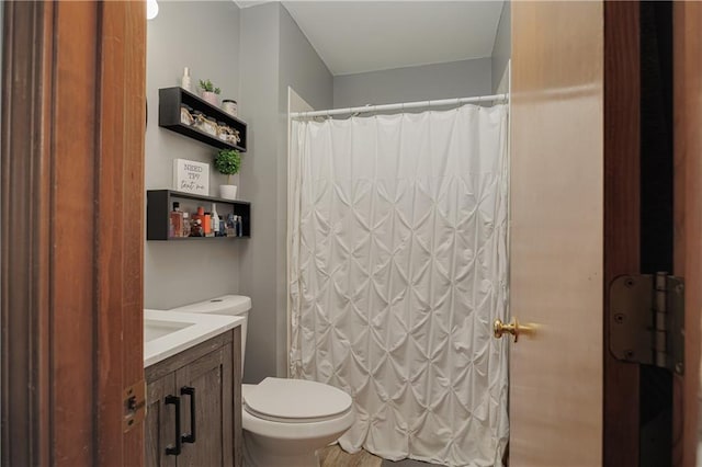 full bathroom with toilet, a shower with curtain, and vanity