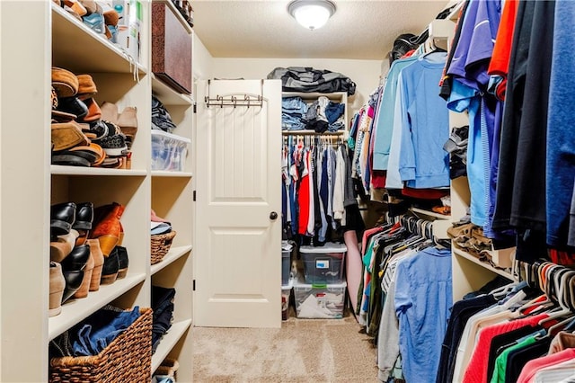spacious closet featuring carpet