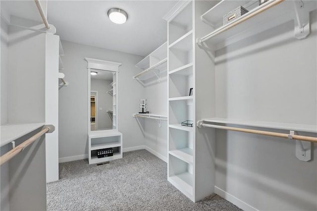 1312 NW 107th Ter, Kansas City, MO 64155 - walk in closet with carpet