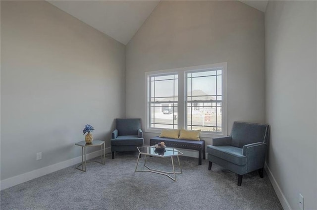 2303 SW Serena Pl, Lees Summit, MO 64082 - living area with carpet, baseboards, and high vaulted ceiling
