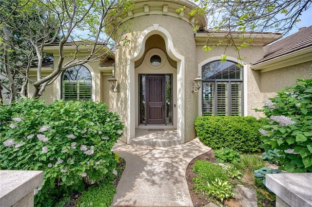 view of exterior entry featuring stucco siding